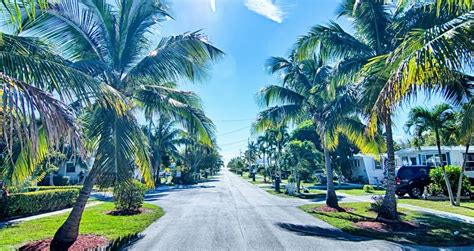 things to do in southern florida.